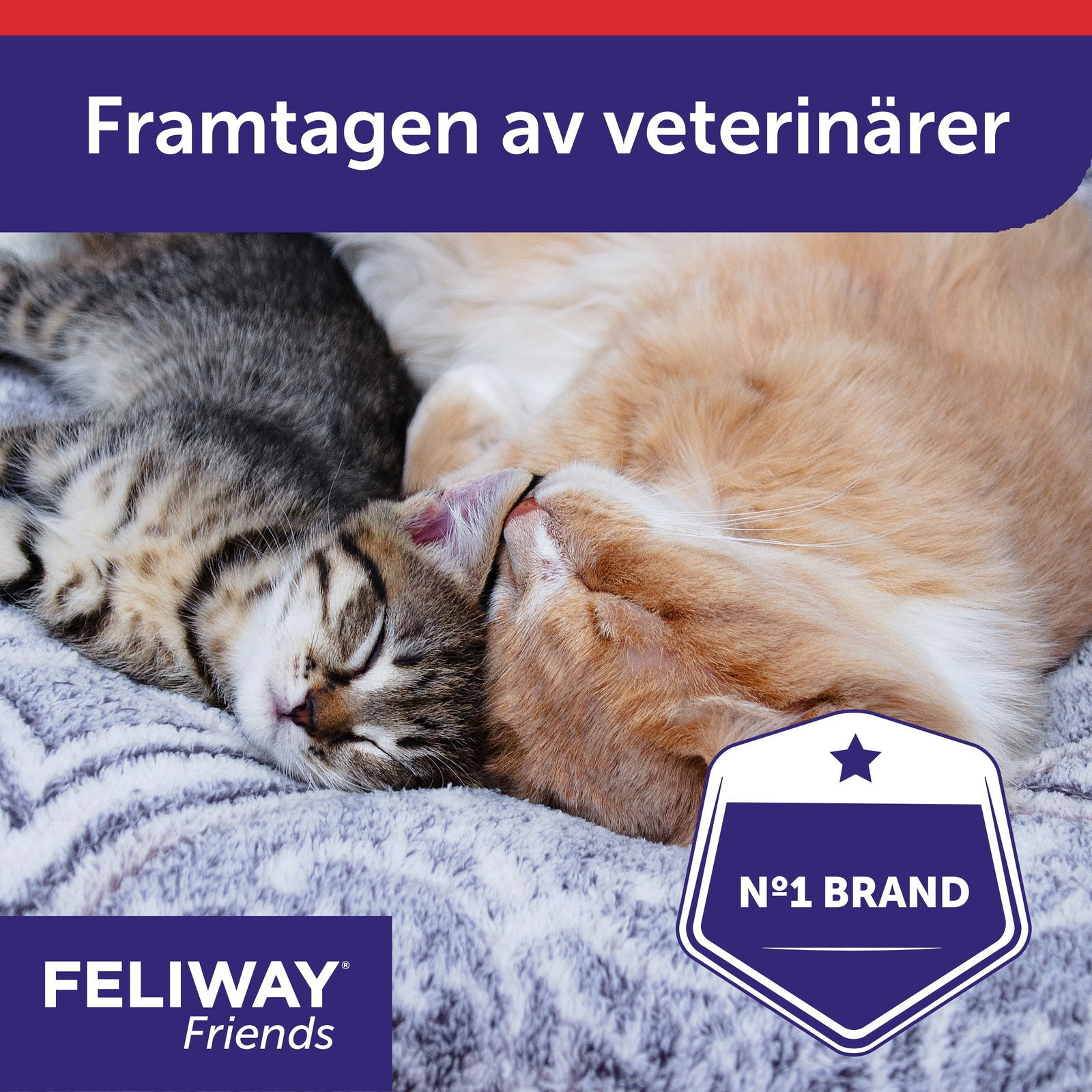 Feliway Friends Doftavgivare 48 ml