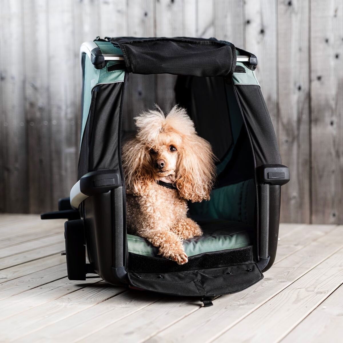 Thule Bexey Hazy Green