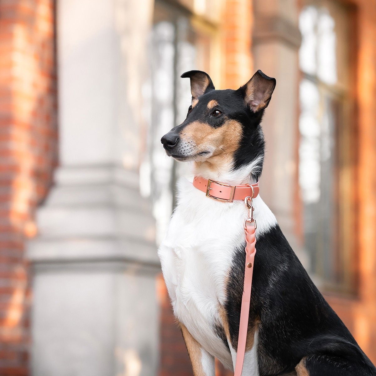 Tyylivoitto Braid BioThane-leash, peach/rosegold