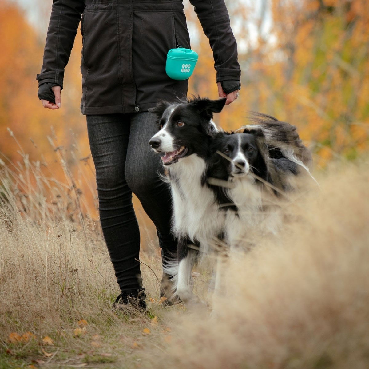 Pro Dog Silicon Treat Bag turquoise