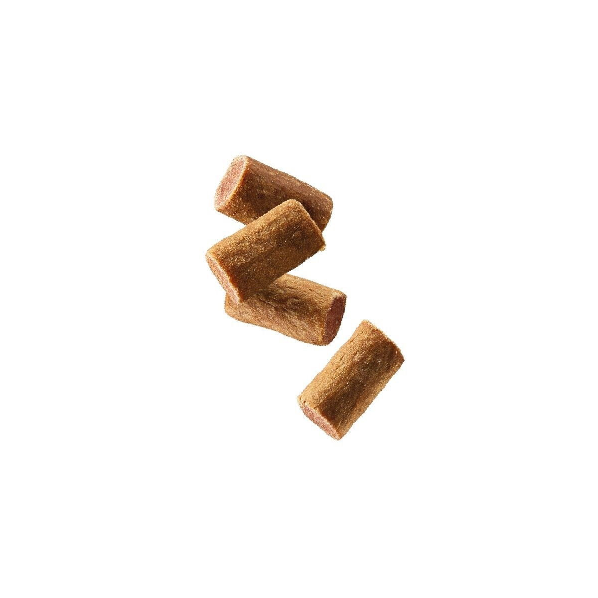 Natures Menu Dog Treat Puppy 50g