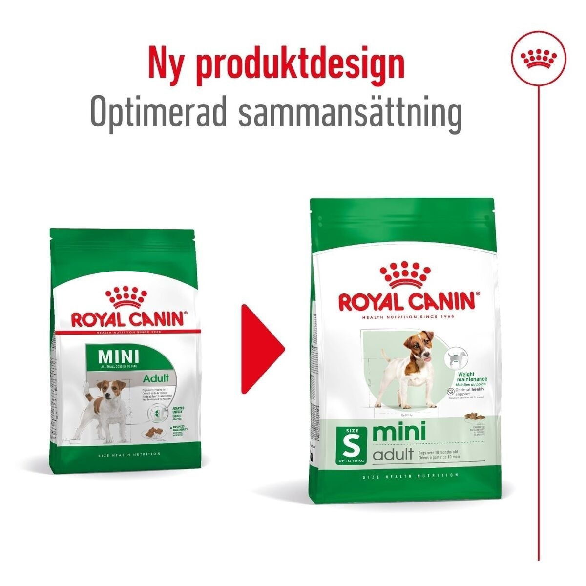 Royal Canin Mini Adult torrfoder för hund