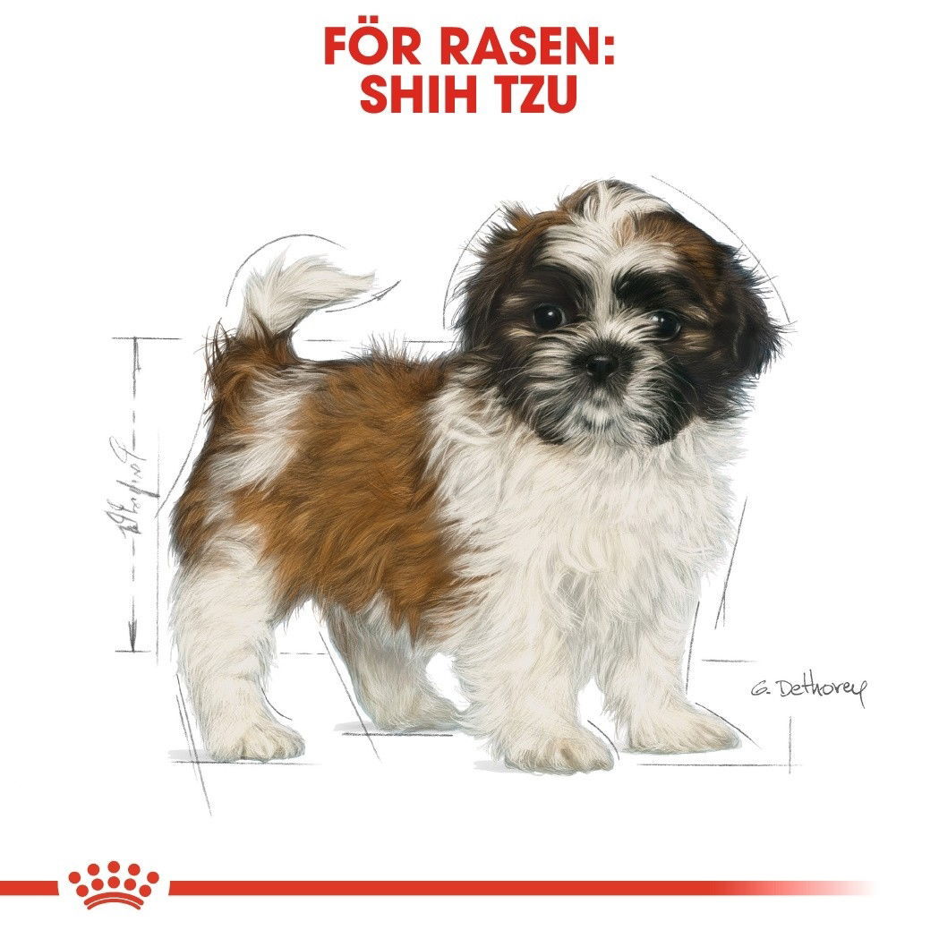 Royal Canin Breed Shih Tzu Junior 