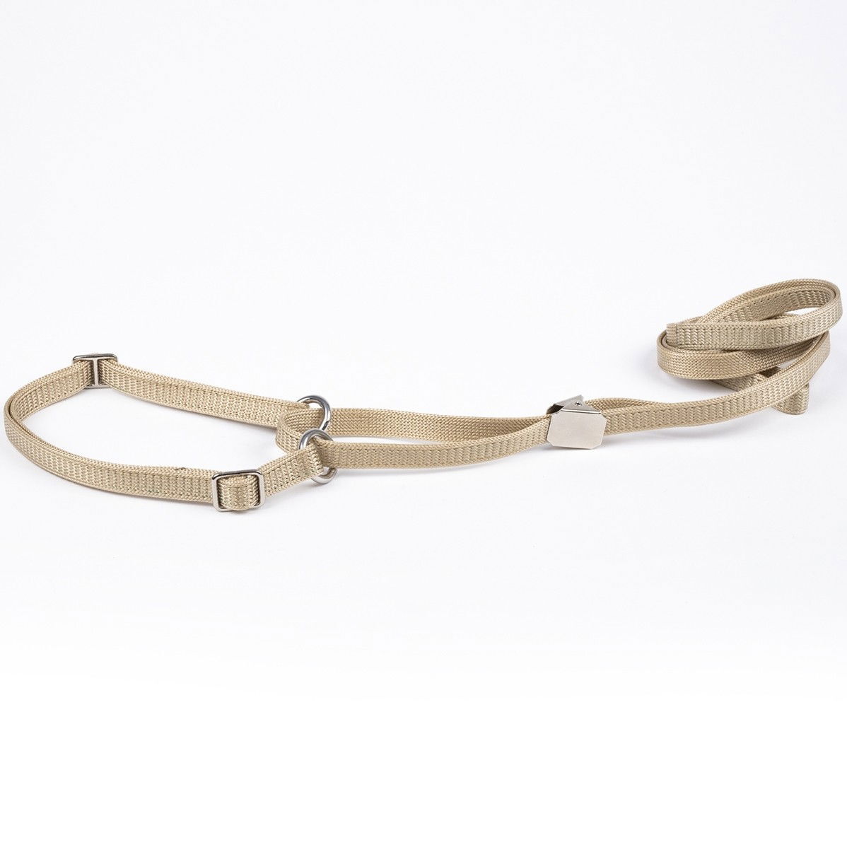 Show Dog Show lead Flat with adjustable half choke collar and clip, wheat