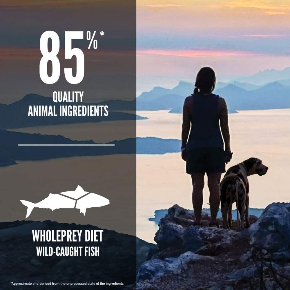 Orijen Dog 6 Fish 