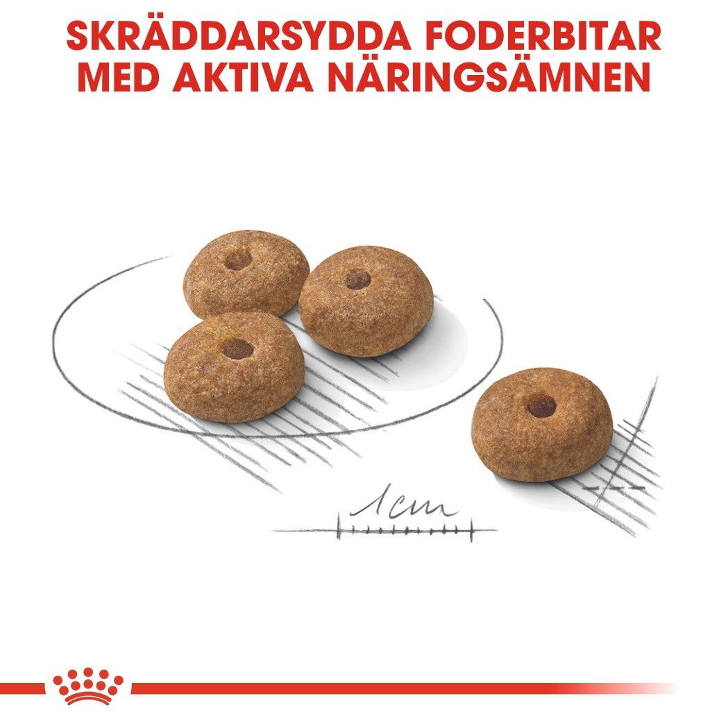 Royal Canin Mini Sterilised Adult