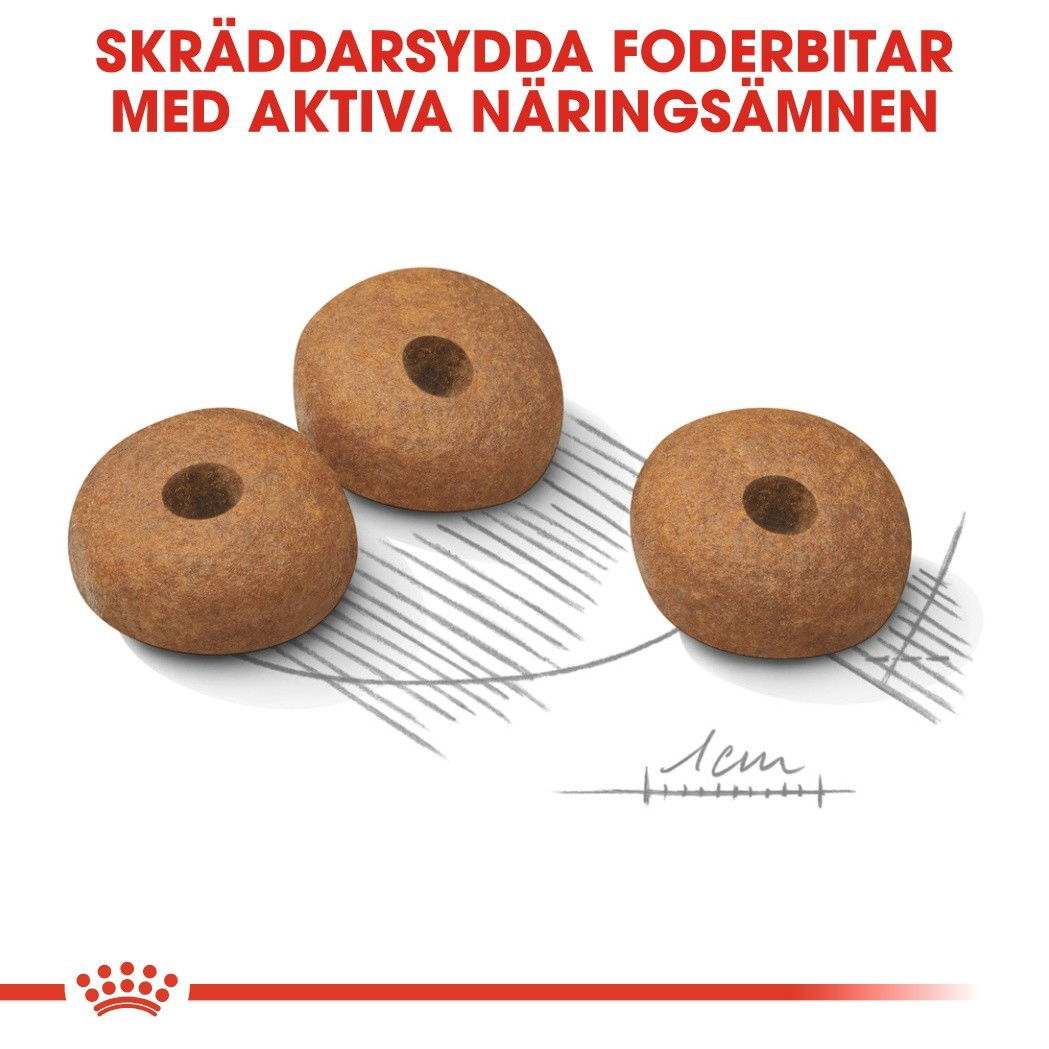Royal Canin Light Weight Care Mini Adult torrfoder för hund