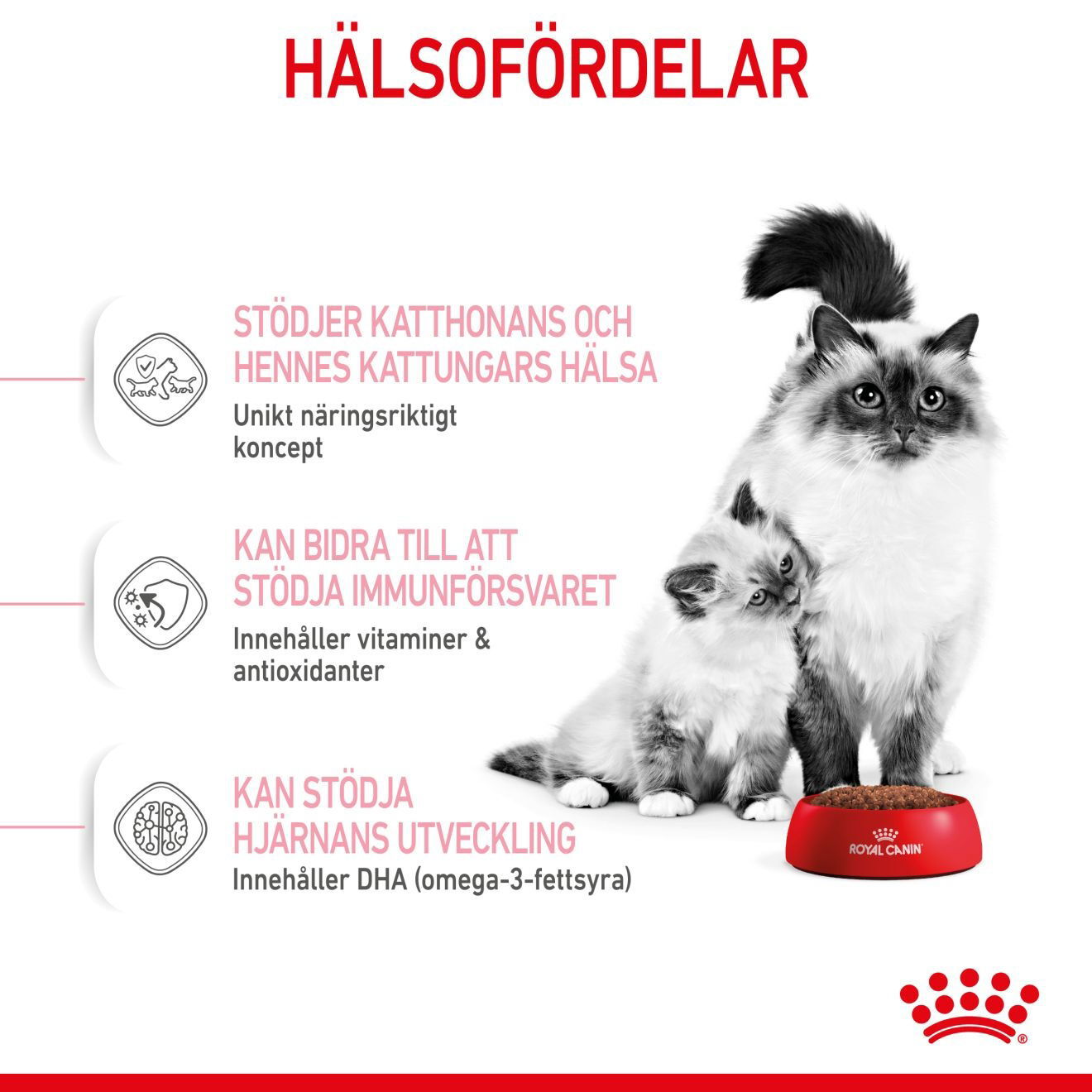 Royal Canin Mother & Babycat torrfoder för katt och kattunge