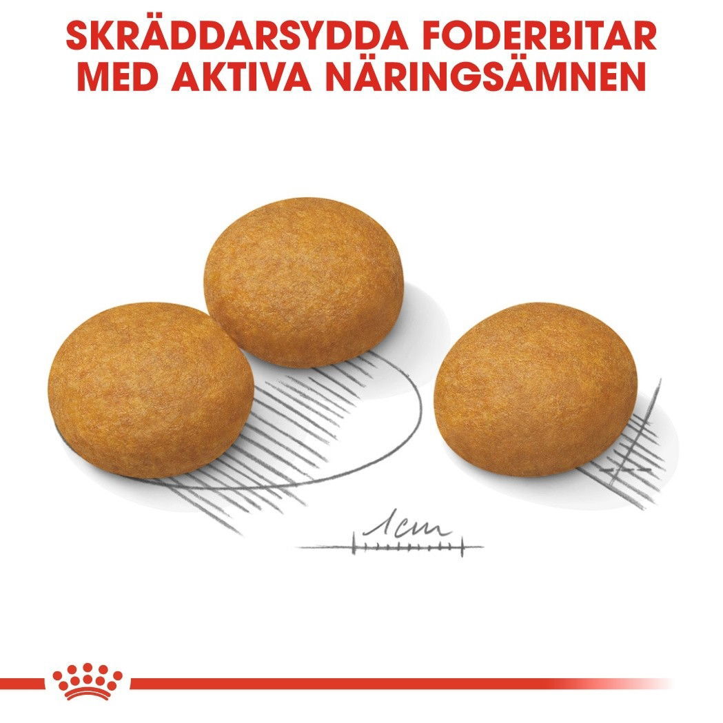 Royal Canin Maxi Dermacomfort