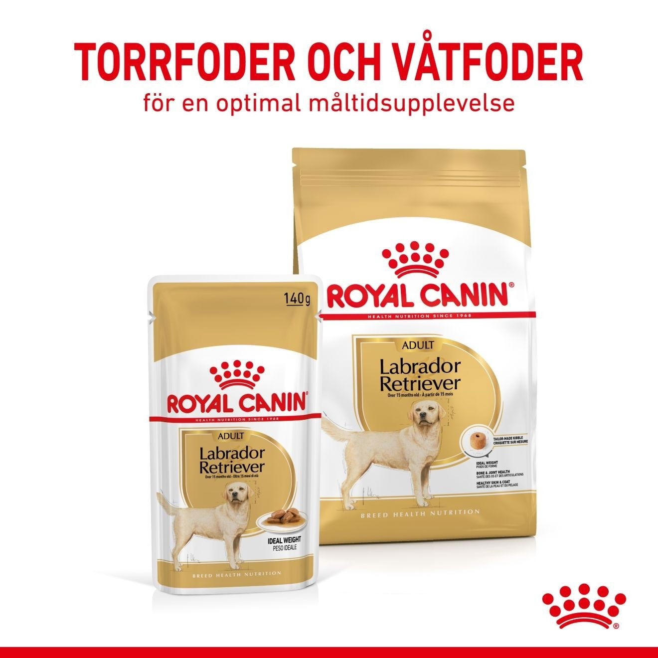 Royal Canin Breed Labrador Retriever 10 x 140 g