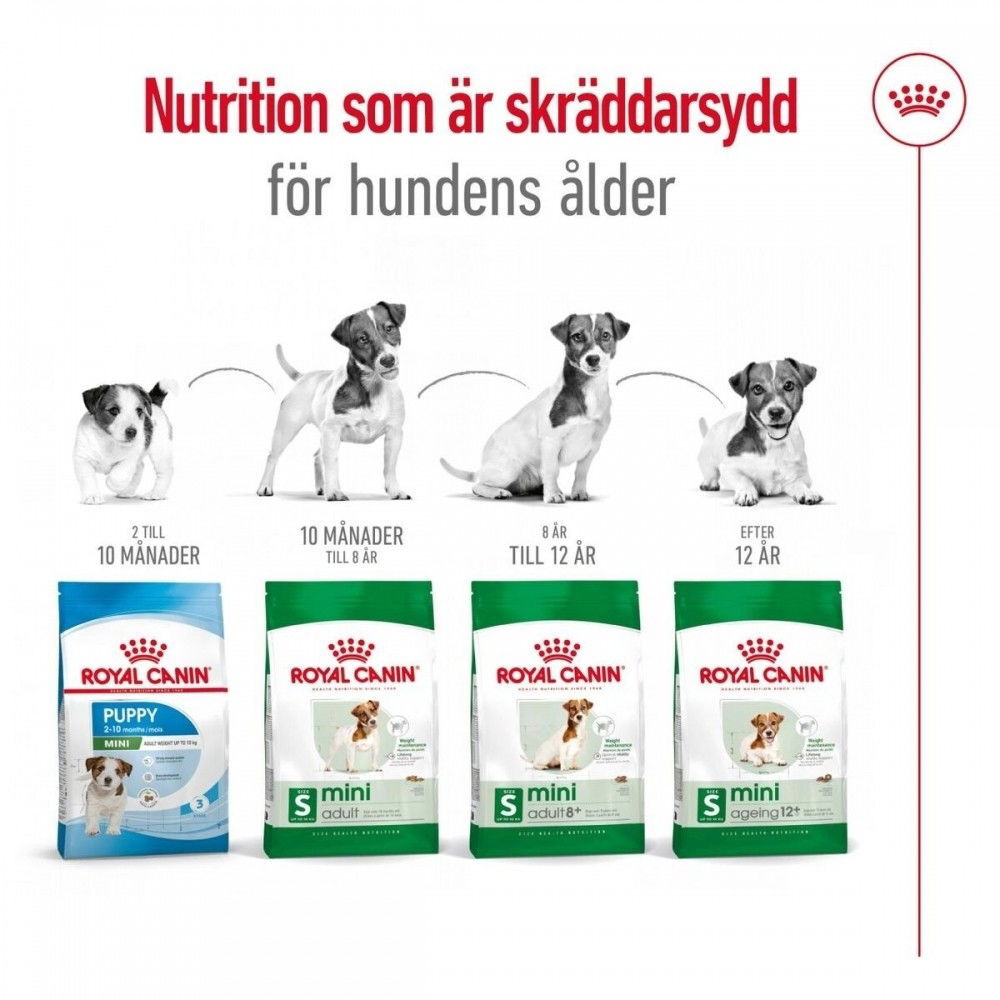Royal Canin Mini Ageing 12+ torrfoder för hund