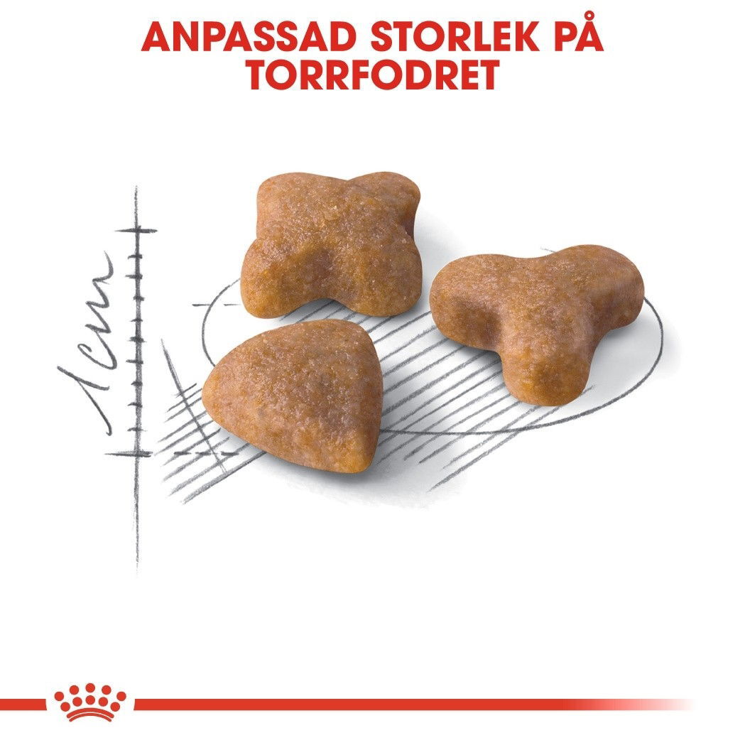 Royal Canin Sensible Adult torrfoder för katt