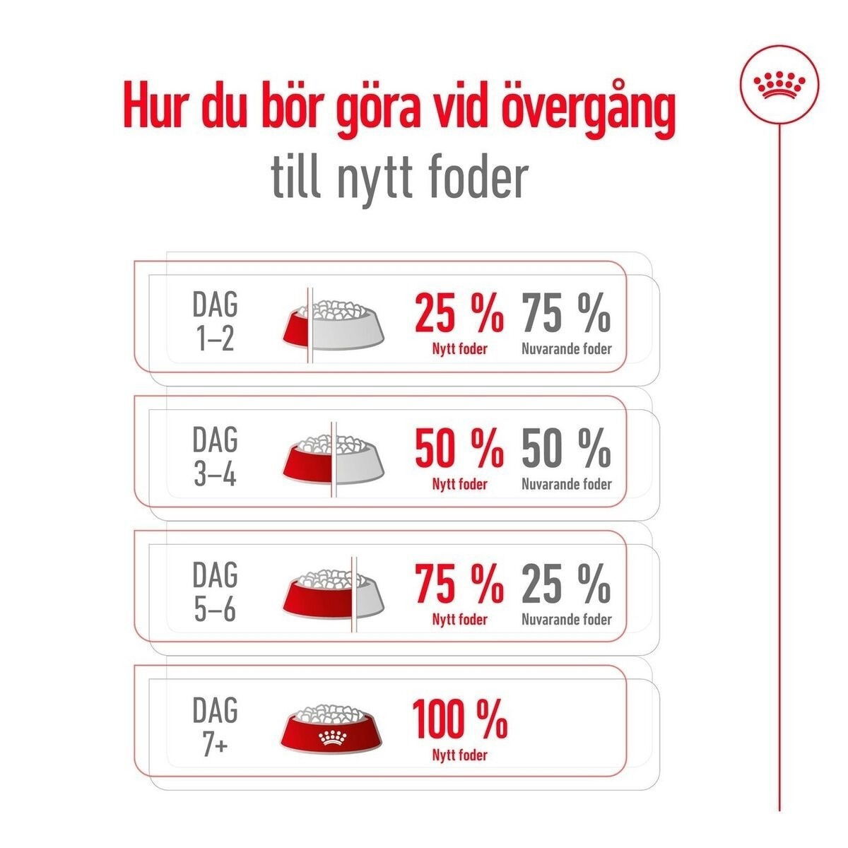 Royal Canin XSmall Adult +8