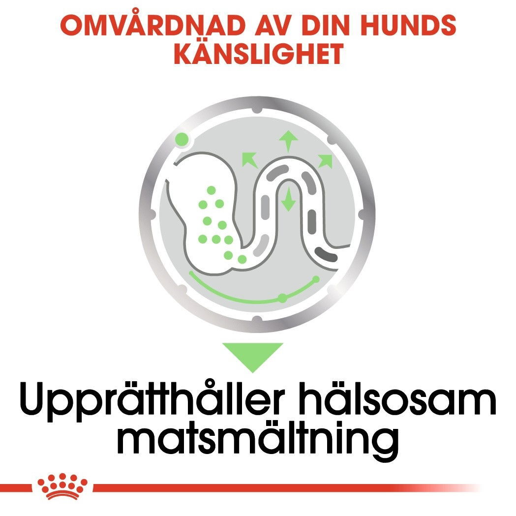 Royal Canin Digestive Care Adult Loaf våtfoder för hund