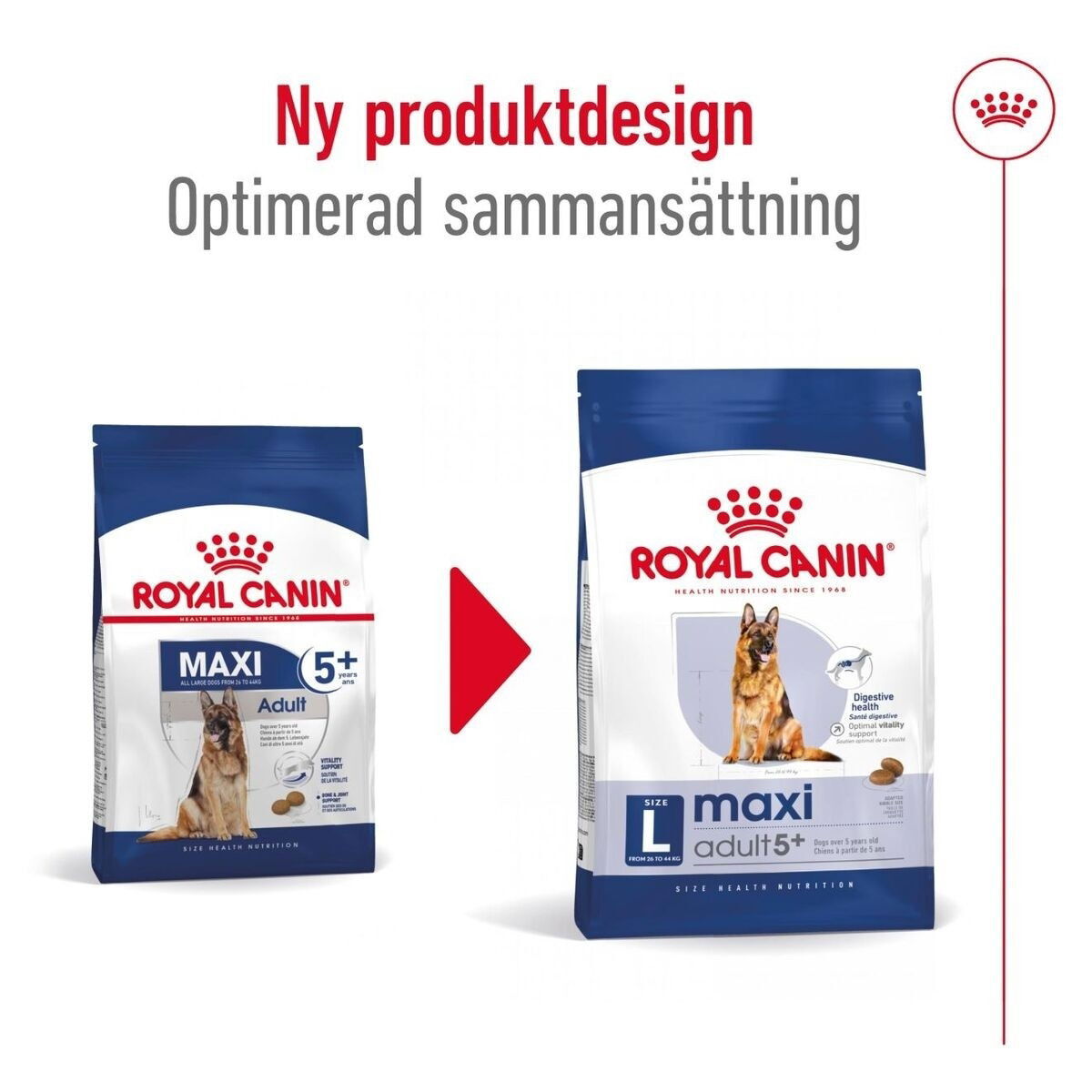 Royal Canin Maxi Adult 5+ torrfoder för hund