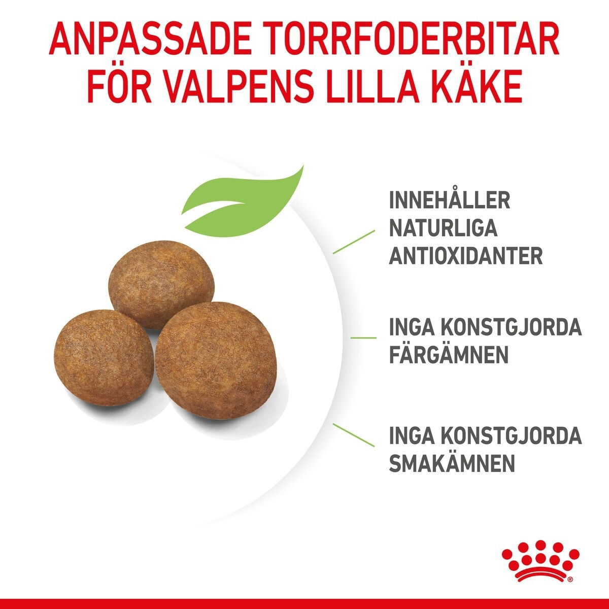 Royal Canin Maxi Puppy Torrfoder för hundvalp