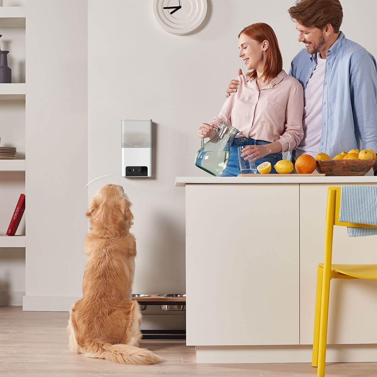 Petcube Bite 2 Lite