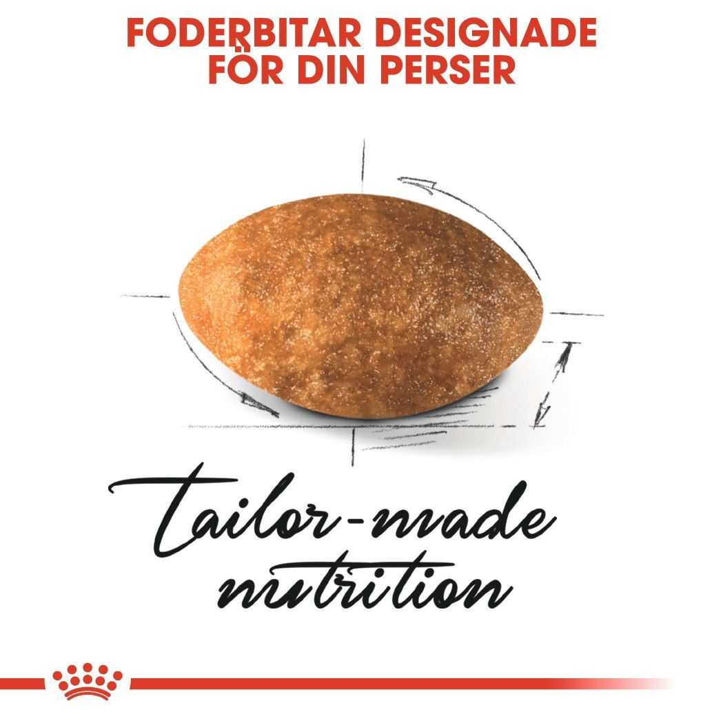 Royal Canin Persian Adult torrfoder för katt