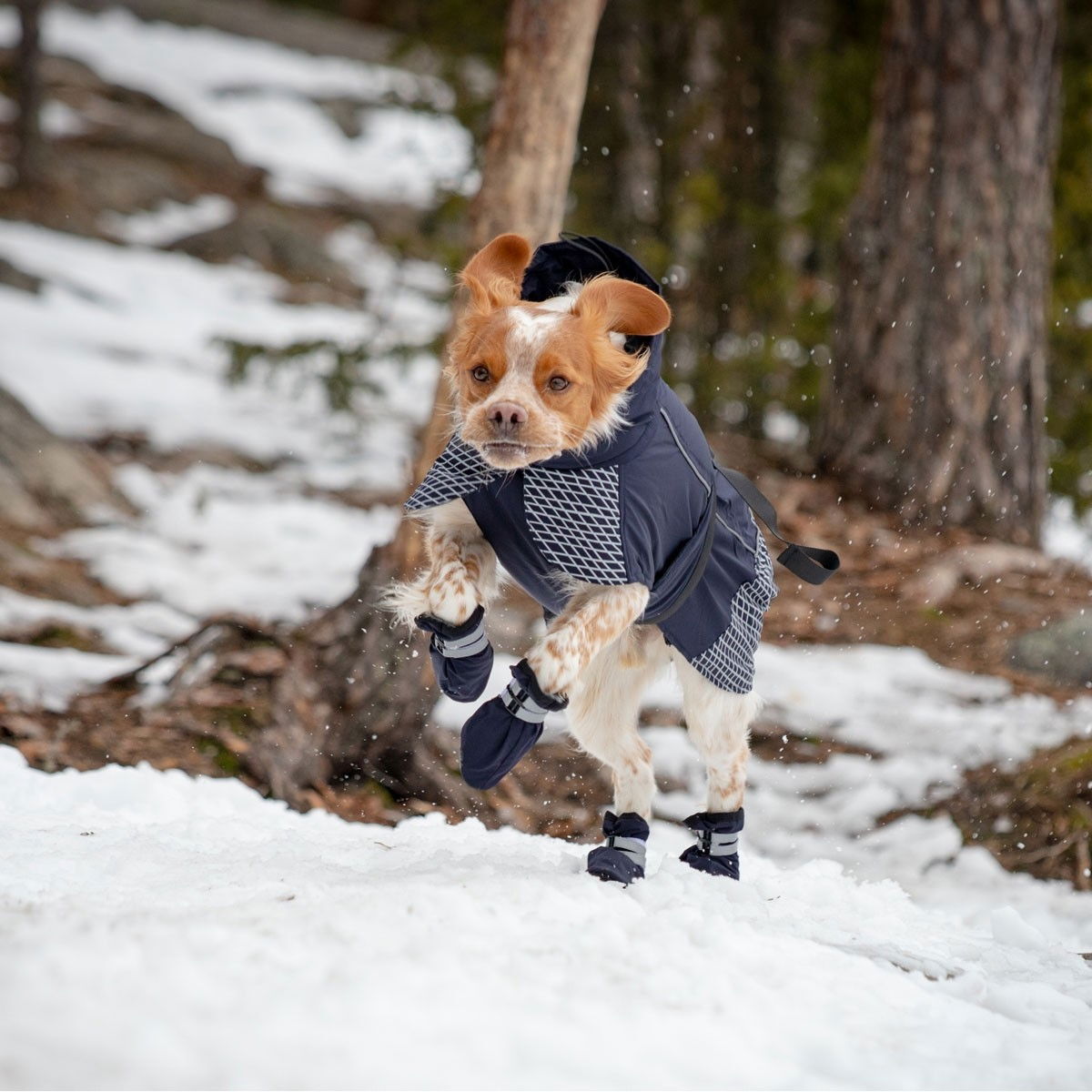 Feel Active Snow socks 2pcs blue