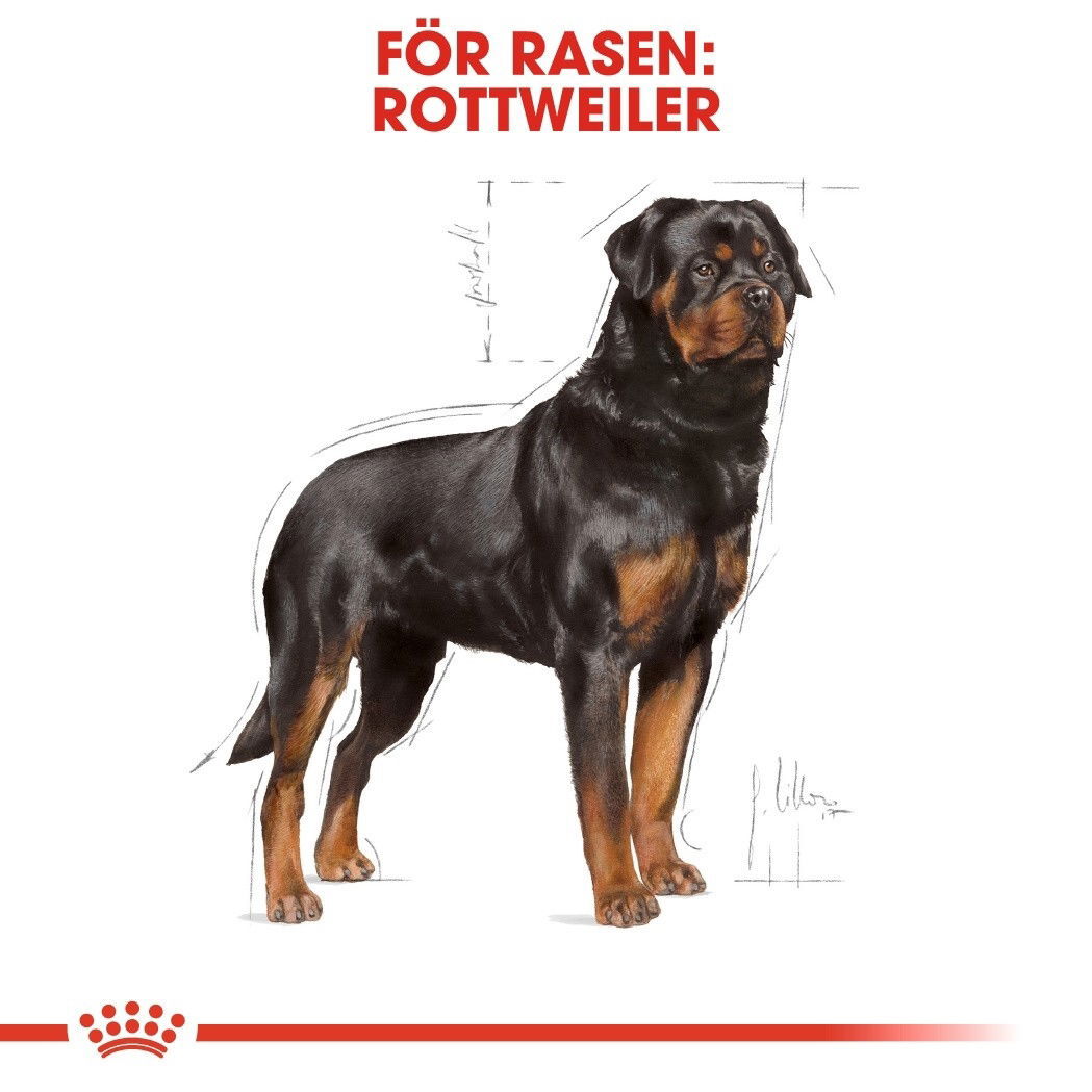 Royal Canin Rottweiler Adult torrfoder för hund