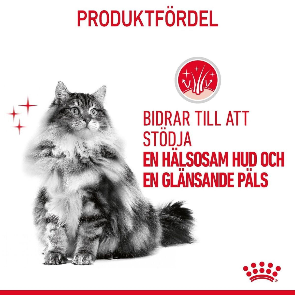 Royal Canin Hair & Skin Care Gravy Adult våtfoder för katt