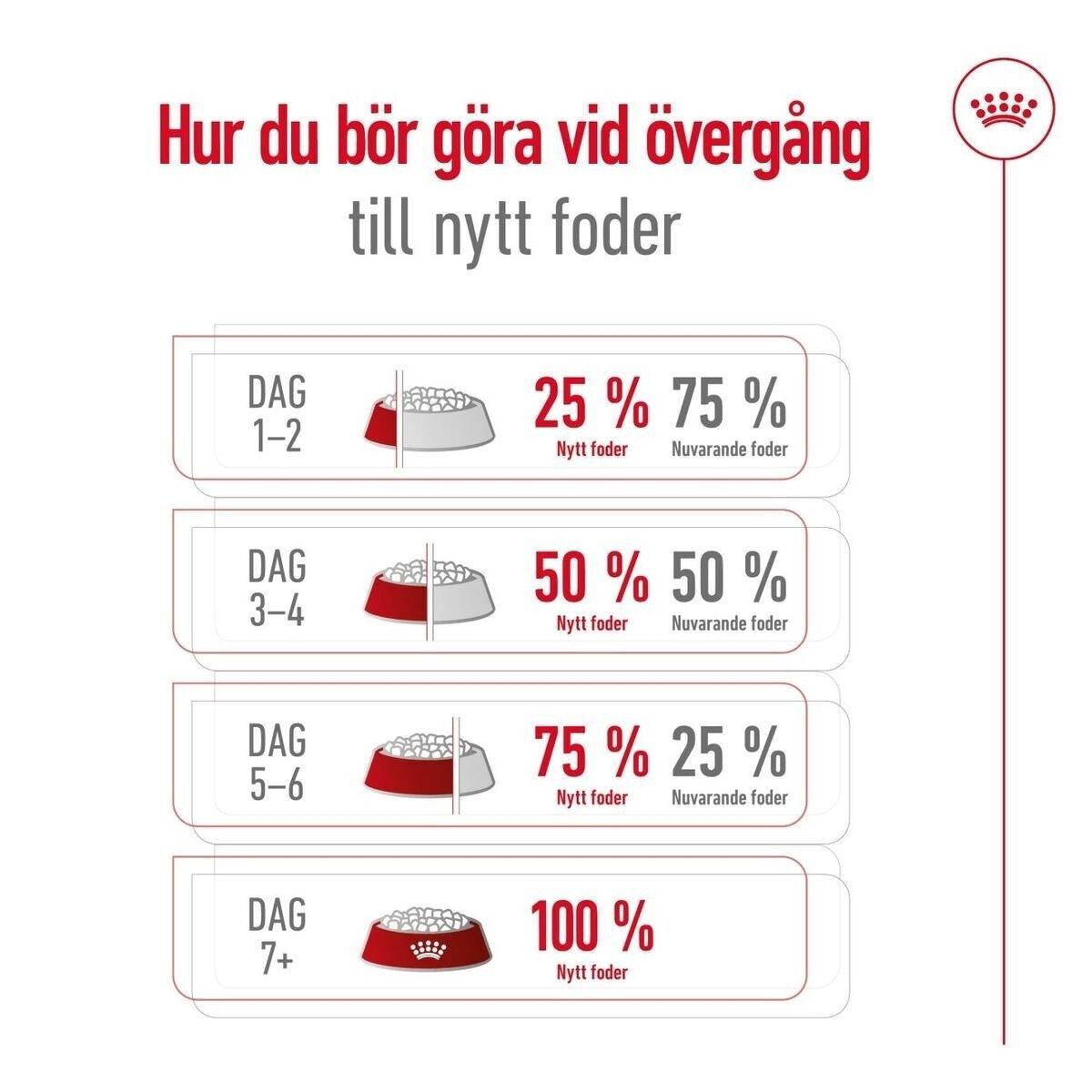 Royal Canin Mini Adult torrfoder för hund