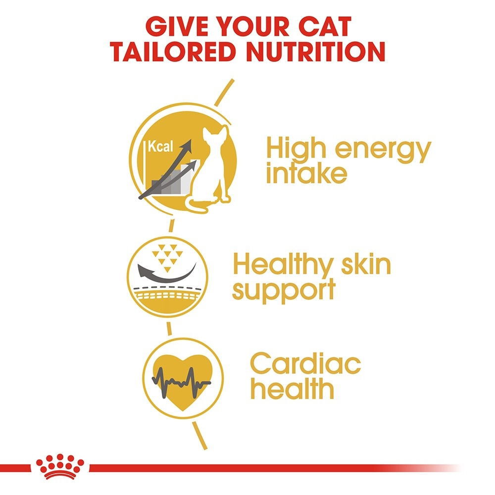 Royal Canin Sphynx Adult torrfoder för katt