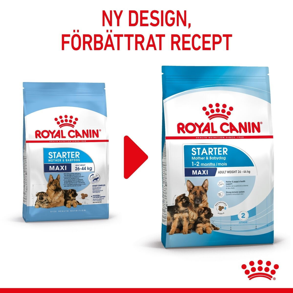 Royal Canin Maxi Starter torrfoder för hund och hundvalp