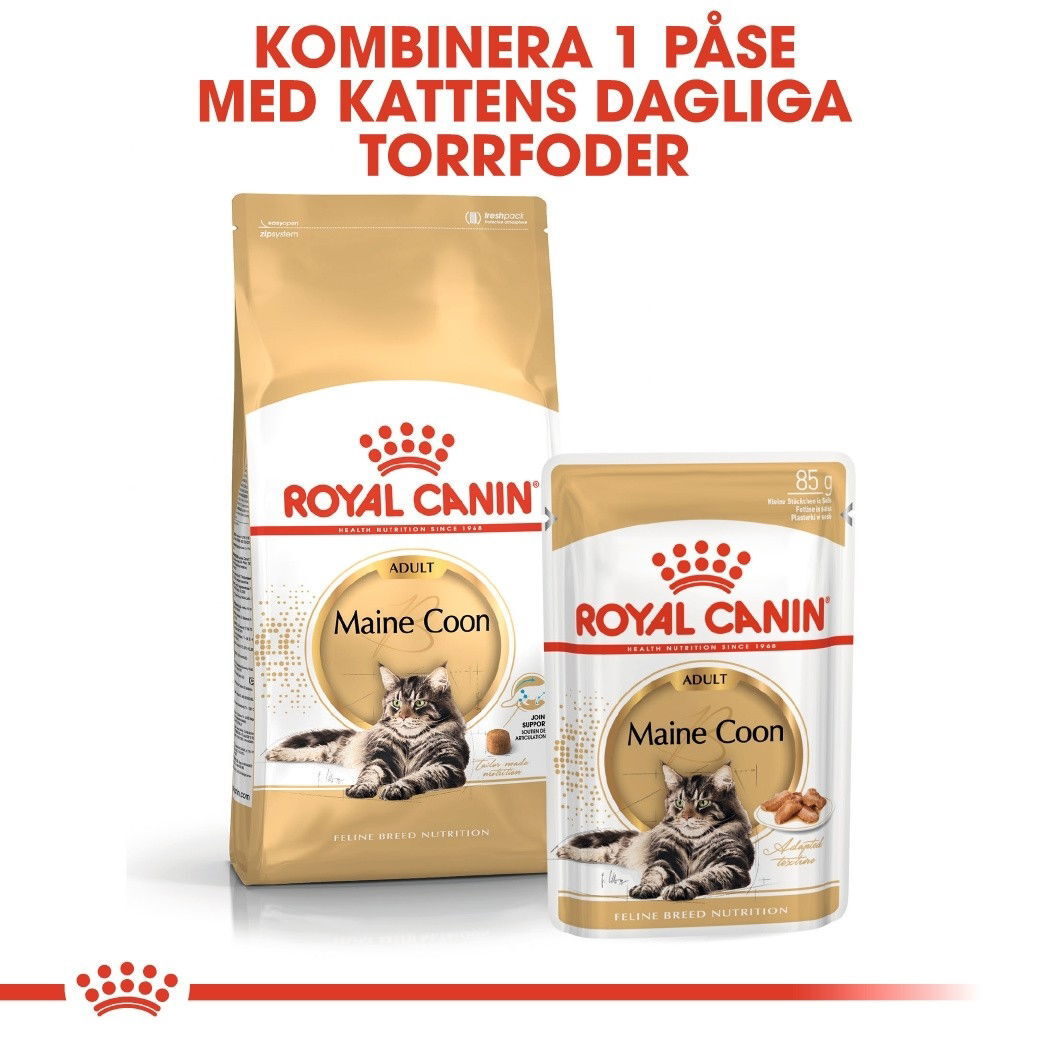 Royal Canin Maine Coon Adult Gravy våtfoder för katt