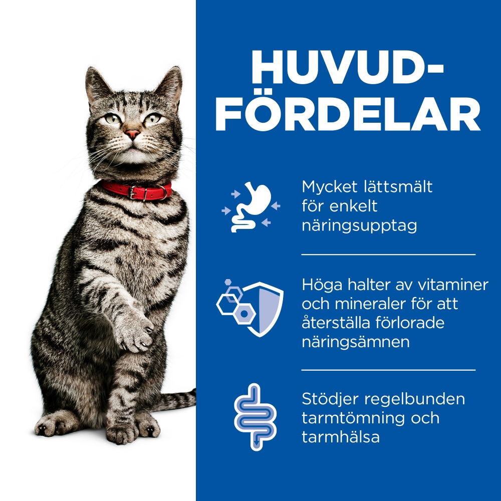 Hill's PRESCRIPTION i/d Stew för katter Kyckling&grönsaker 
