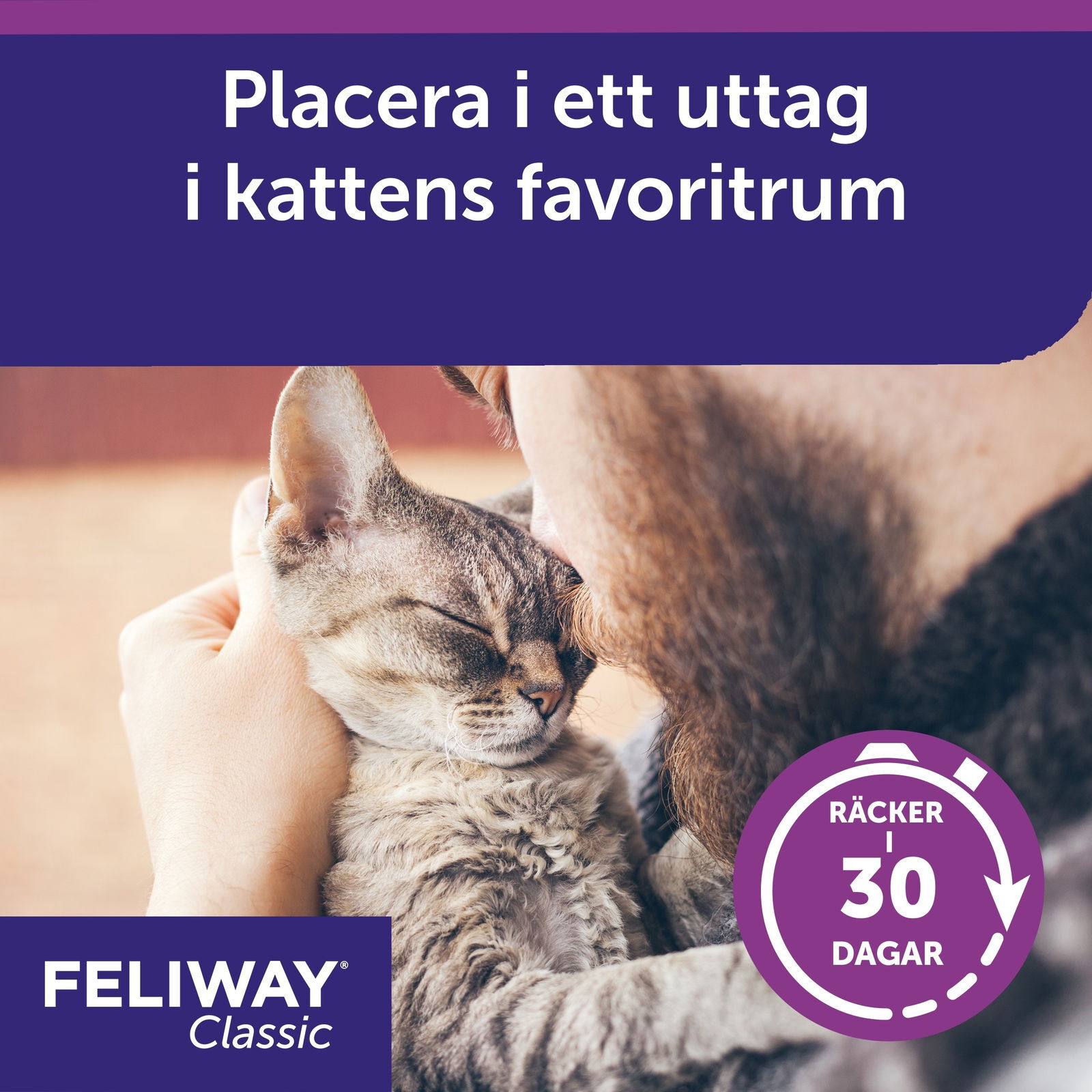 Feliway refill