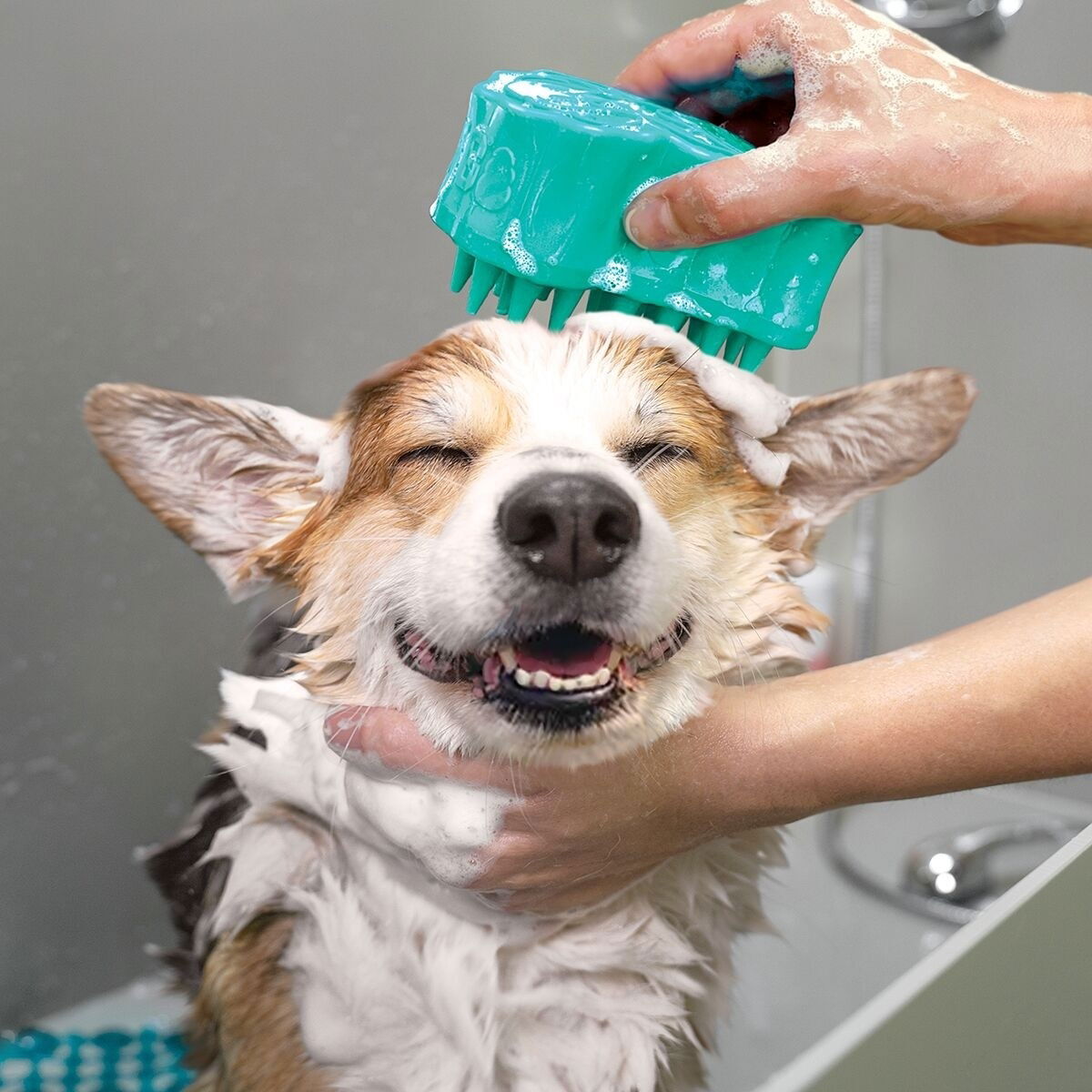 KONG ZoomGroom® Bubbles L