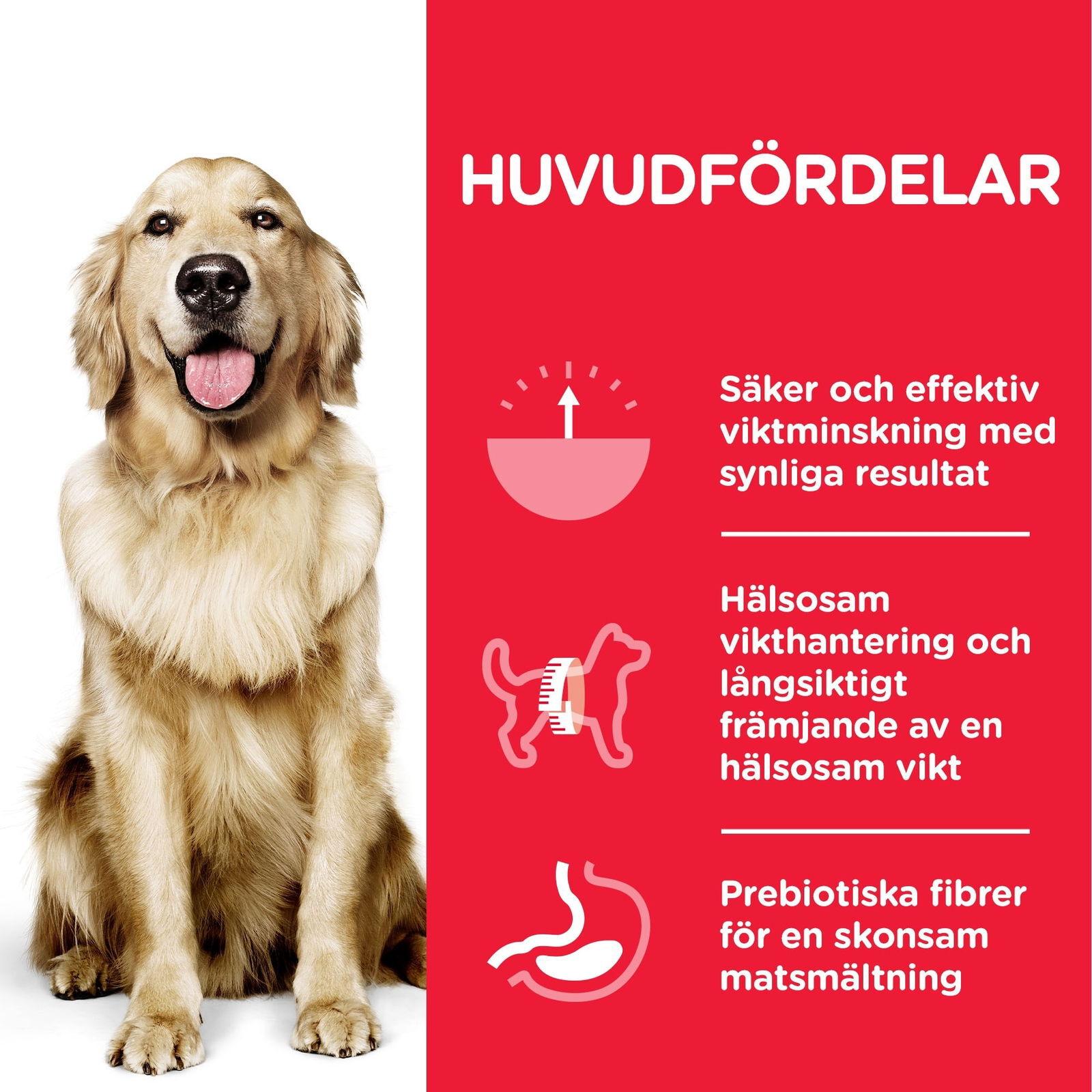 Hill's Science Plan Dog Adult Perfect Weight Large Breed Chicken