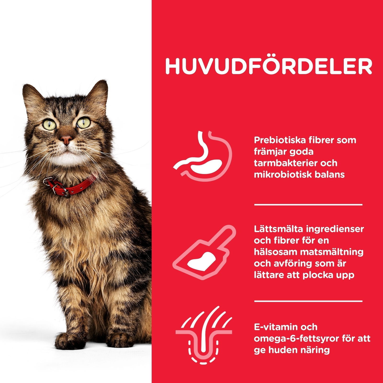 Hill's Science Plan Cat Sensitive Stomach & Skin Chicken
