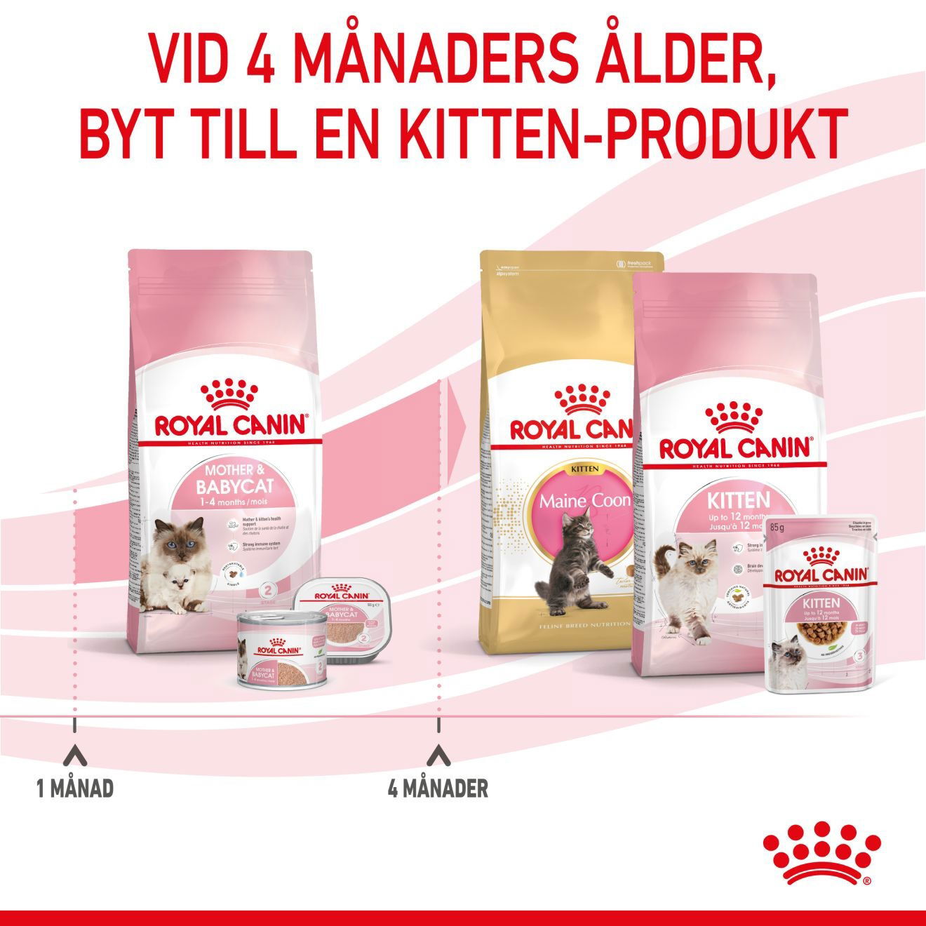 Royal Canin Mother & Babycat torrfoder för katt och kattunge