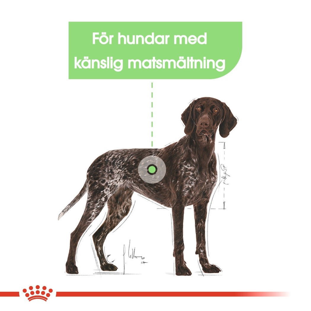 Royal Canin Maxi Digestive Care