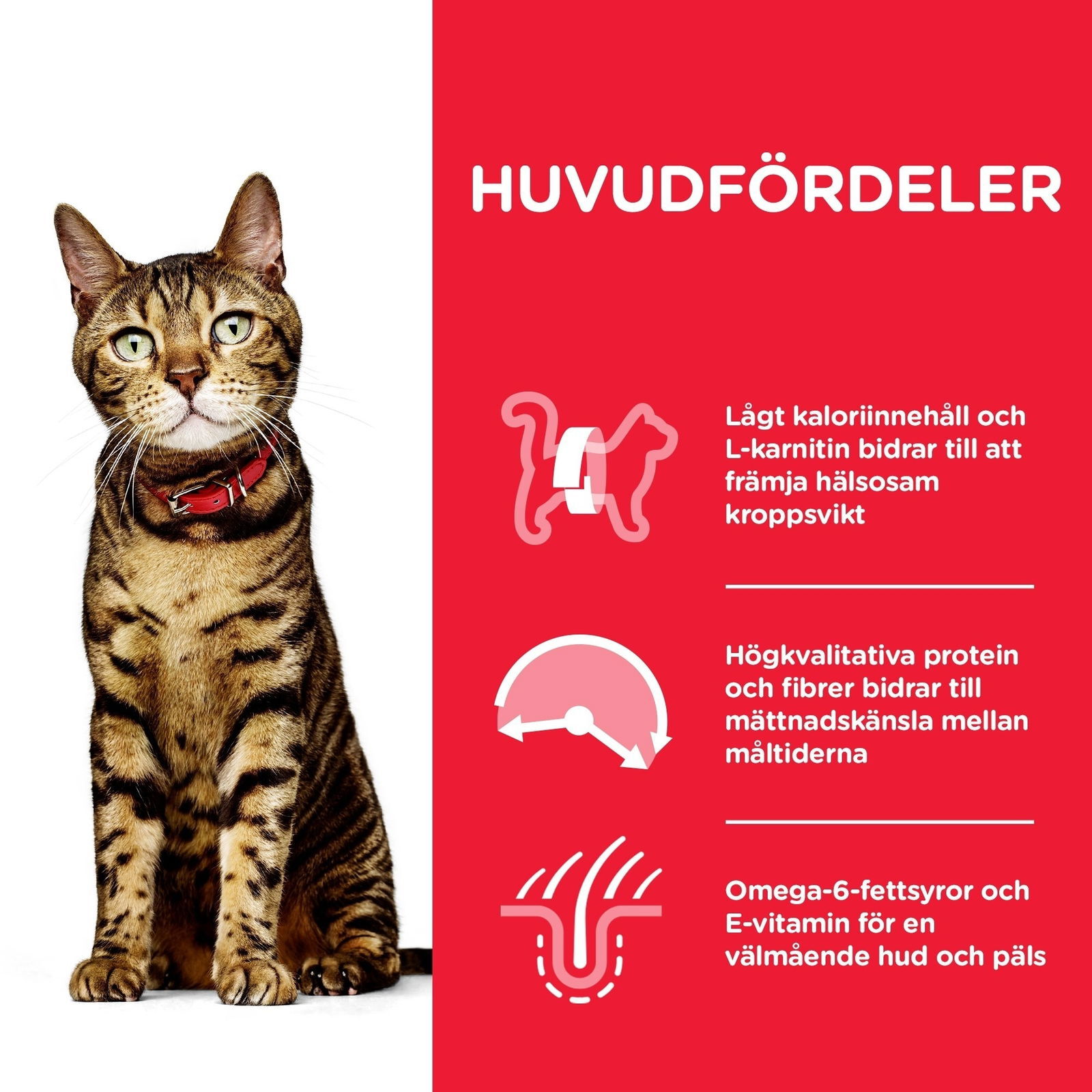 Hills Science Plan Feline Adult Light