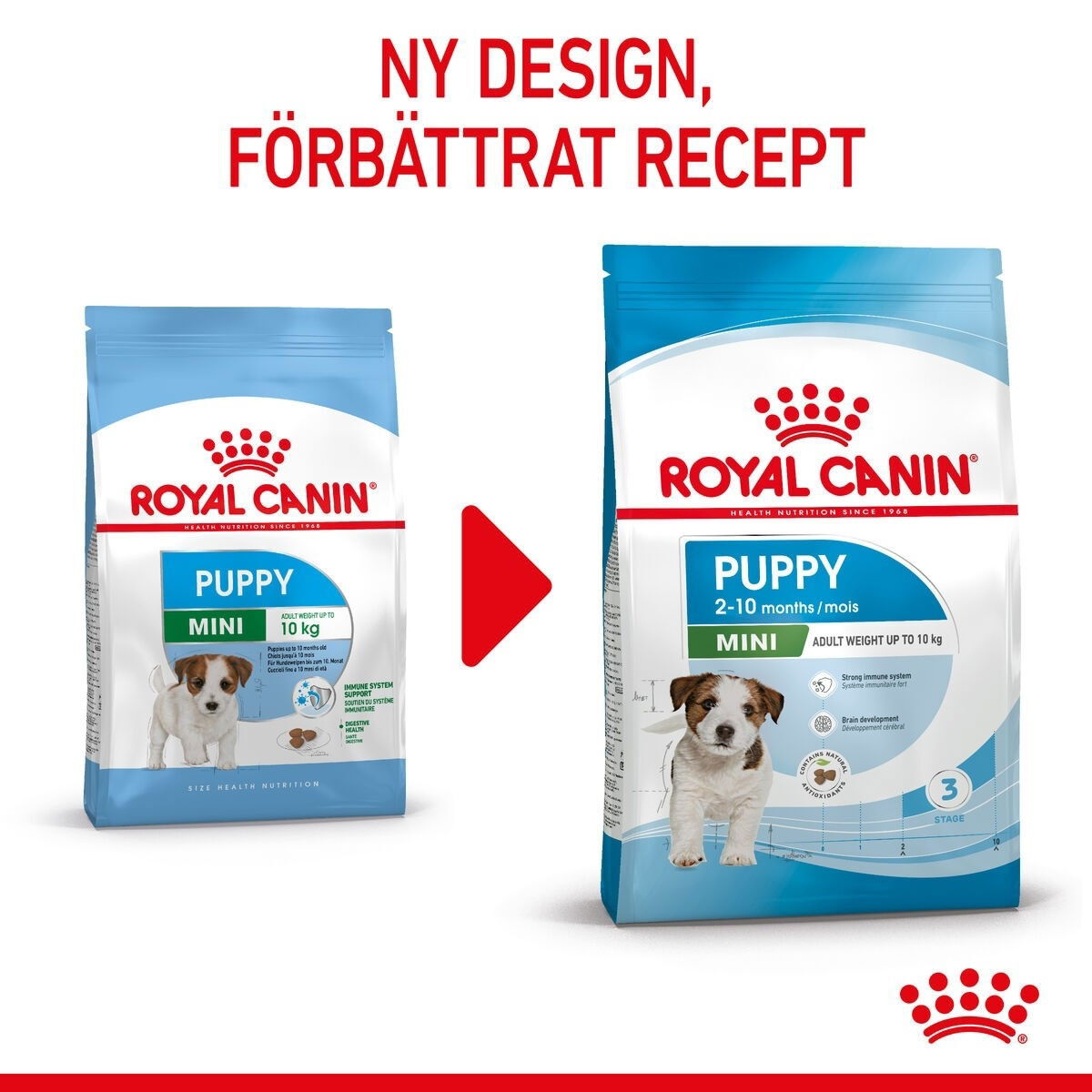 Royal Canin Mini Puppy torrfoder för hundvalp