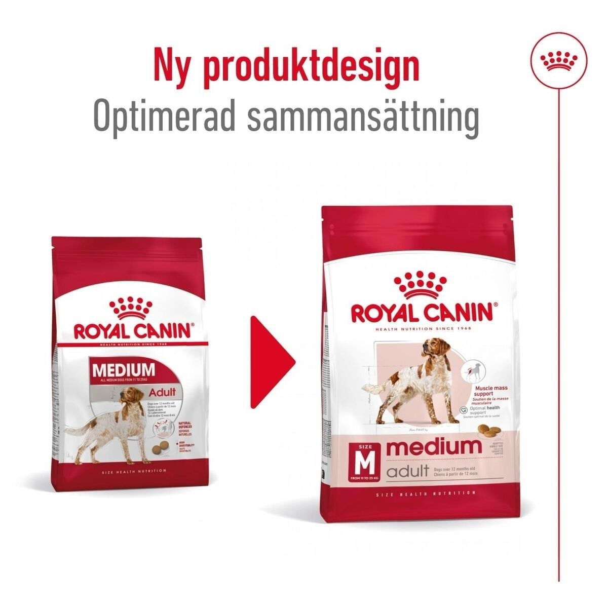 Royal Canin Medium Adult torrfoder för hund