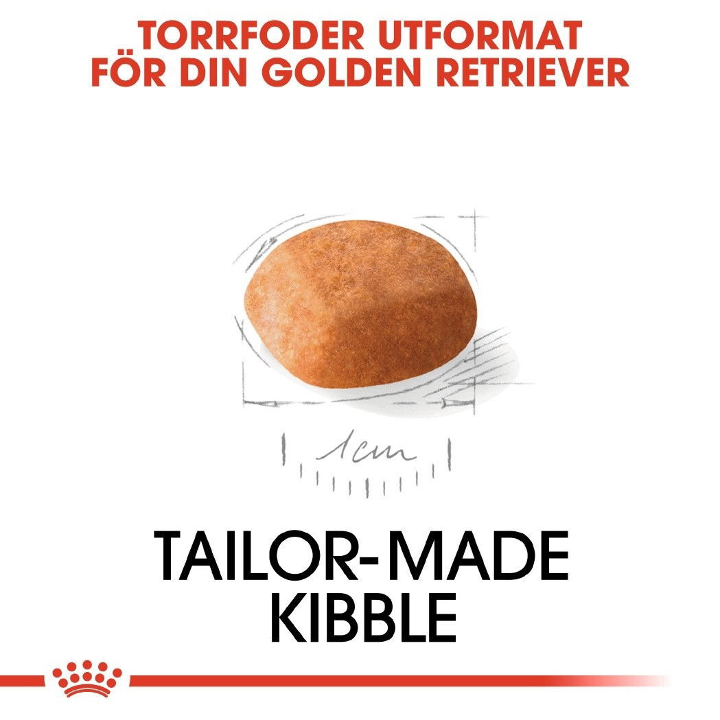 Royal Canin Golden Retriever Puppy torrfoder för hundvalp