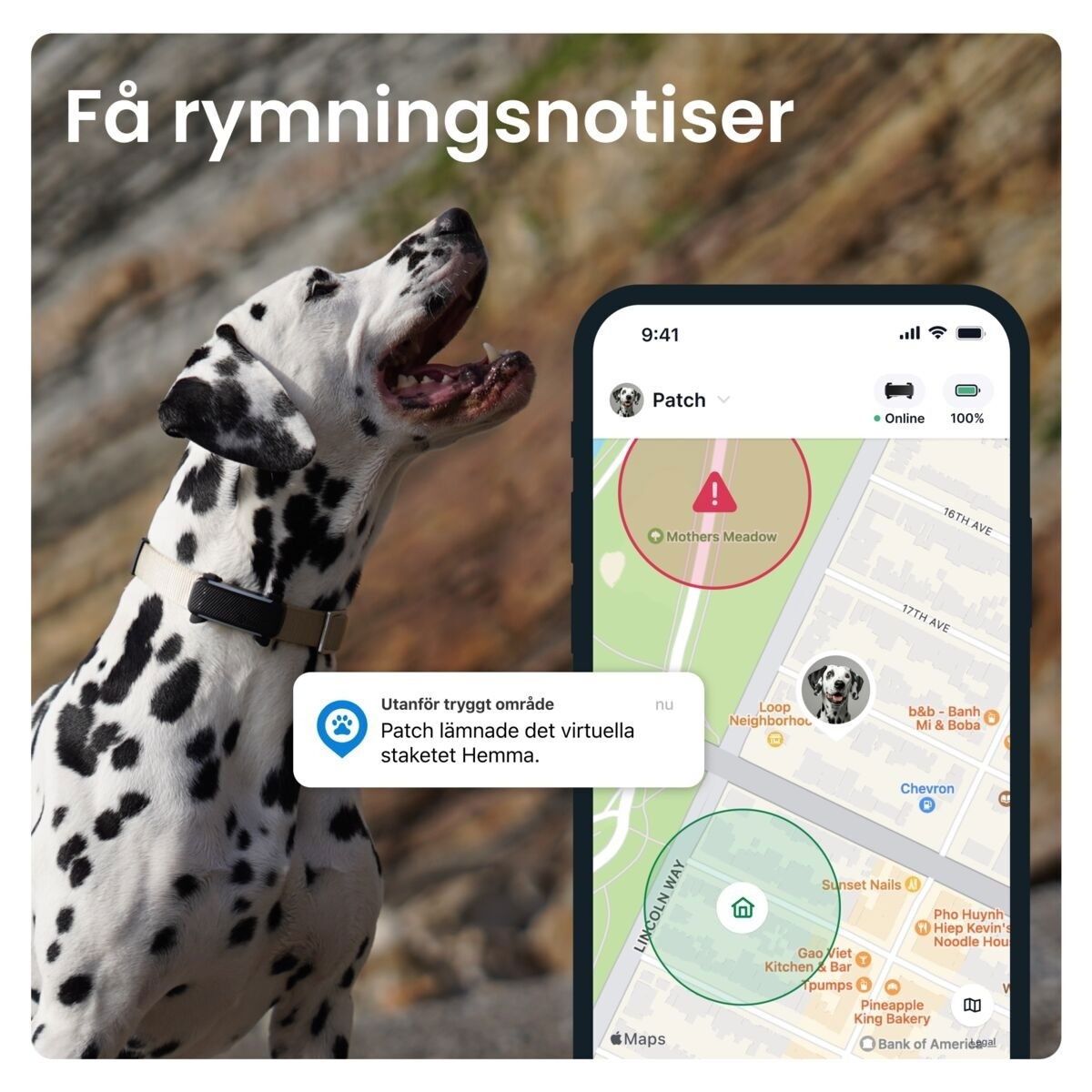 Tractive for DOG 6 tracker