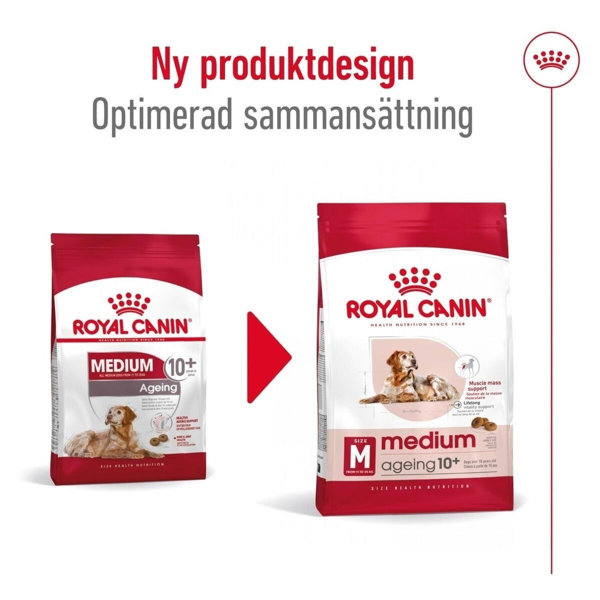 Royal Canin Medium Ageing 10+ torrfoder för hund
