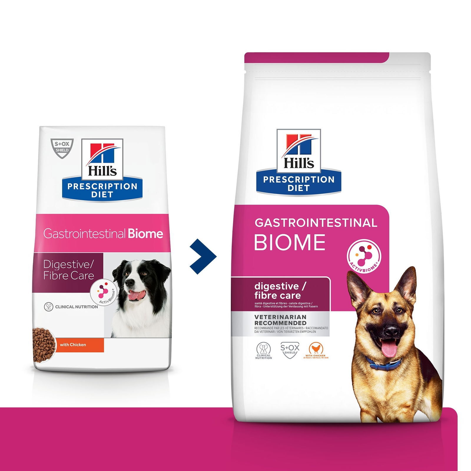 Prescription Diet Gastrointestinal Biome Hund med Kyckling