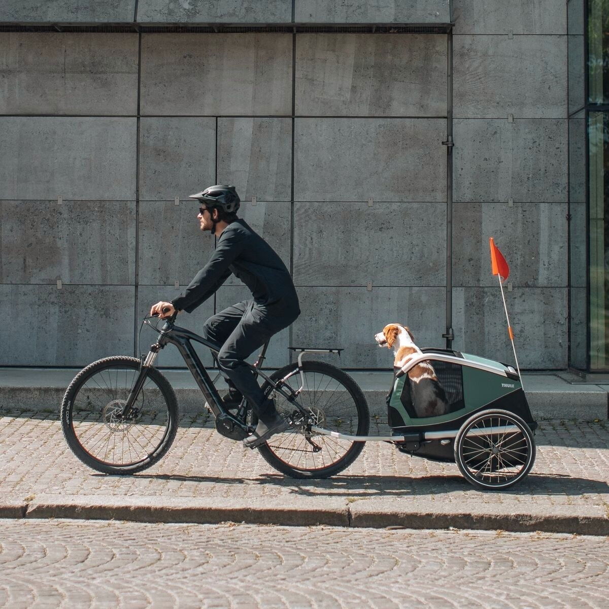 Thule Bexey Hazy Green