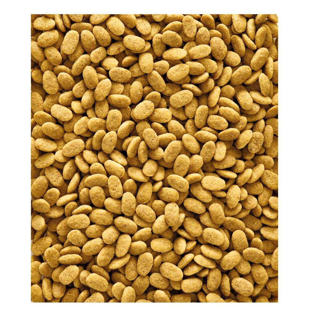 VL NutriBird P15 Original 1 kg