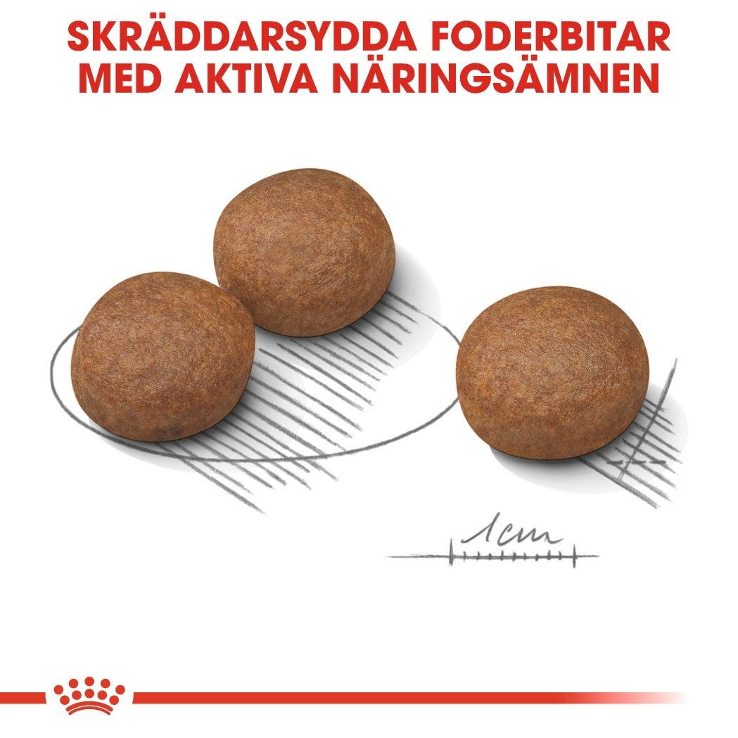 Royal Canin Digestive Care Medium Adult torrfoder för hund