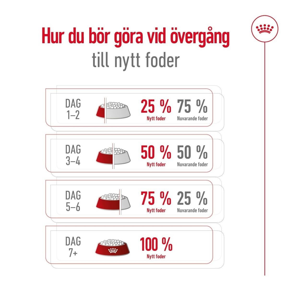 Royal Canin Medium Adult torrfoder för hund