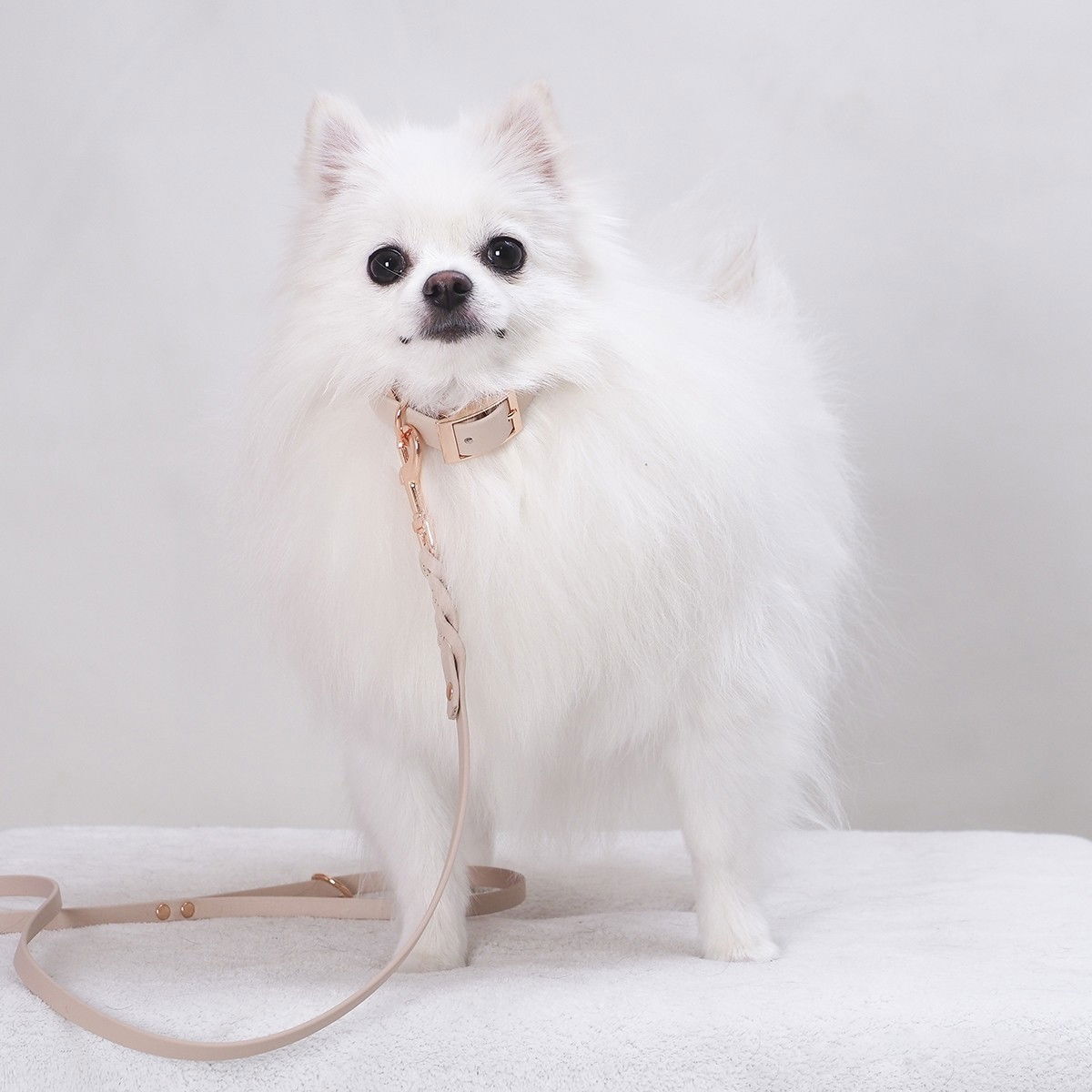 Tyylivoitto Classy narrow collar, nude