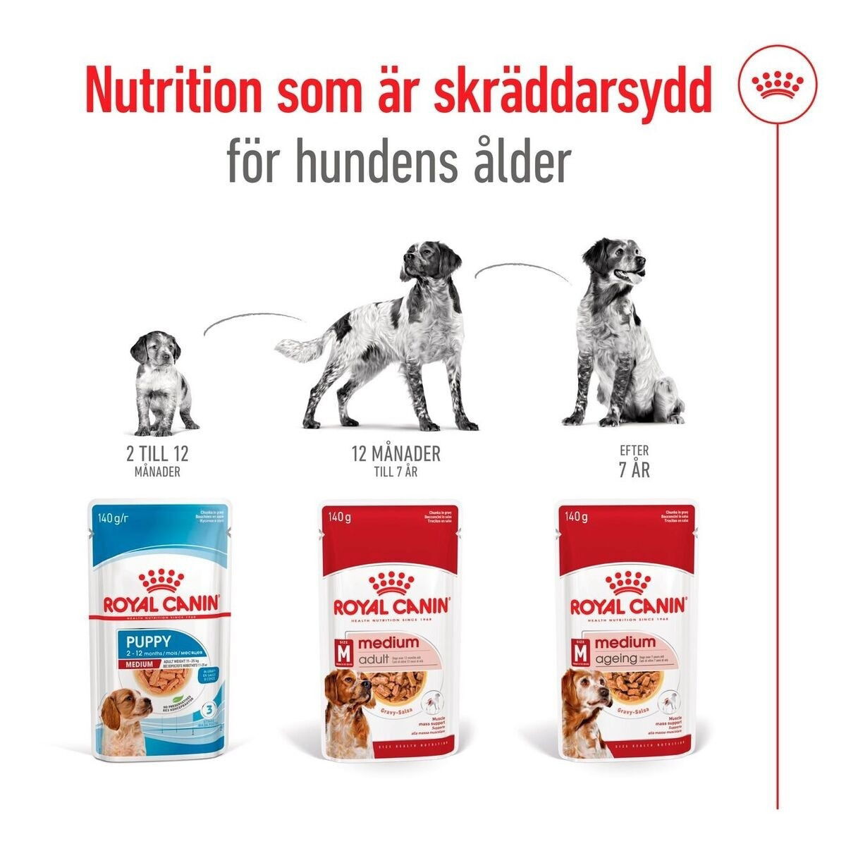 Royal Canin Medium Ageing Gravy våtfoder för hund