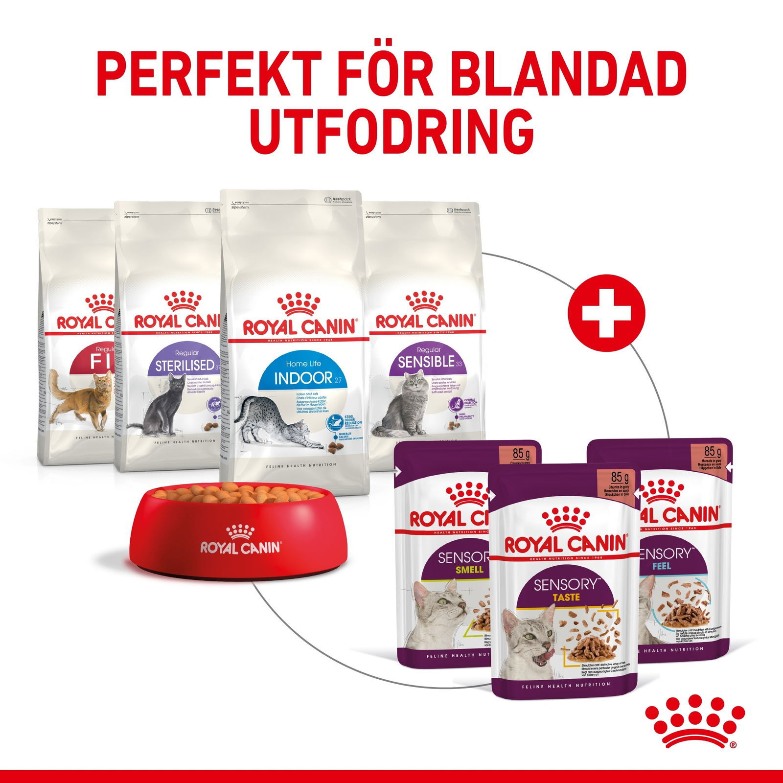 Royal Canin Sensory Mixed Box Gravy Adult våtfoder för katt